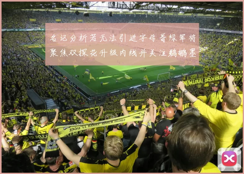 名记分析若无法引进字母哥绿军将聚焦双探花升级内线并关注鹈鹕墨菲