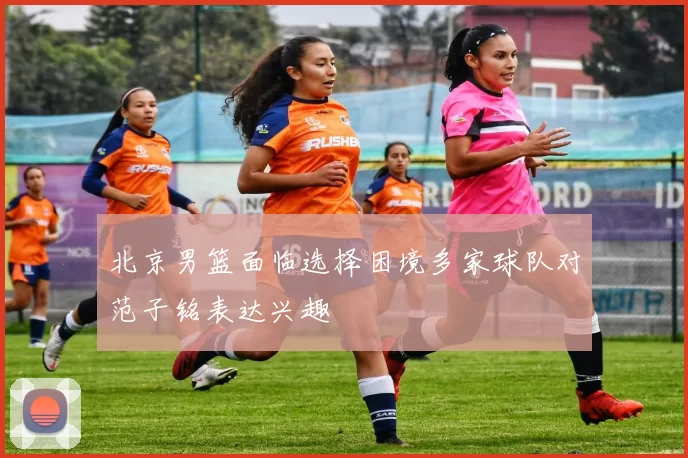 北京男篮面临选择困境多家球队对范子铭表达兴趣